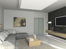 Dandelion - Obraz CD0019