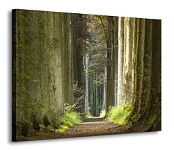 Jarný park - Obraz CD0708