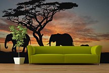 Fototapeta Afrika - Slony 460 - latexová