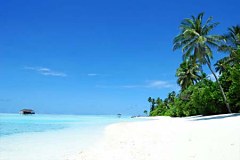 Fototapeta Biela pláž 401 - vliesová