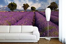 Fototapeta Levanduľové pole  - Provence Francúzsko 3210 - samolepiaca