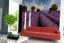 Fototapeta Levanduľové pole  - Provence Francúzsko 3210 - samolepiaca