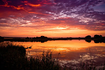 Fototapeta Západ slnka Sawhill Ponds 3239 - samolepiaca na stenu