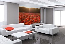 Fototapety s kvetmi - Červené maky 104 - latexová