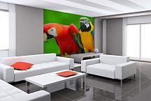 Fototapety s papagájmi 3163 - latexová