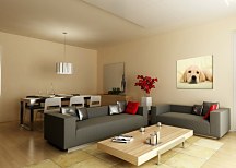 Golden retriever puppy - Obraz CD0715