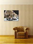Jaguar - Obraz CS0225