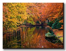 Farby jesene - Obraz CS0384