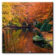 Jeseň v lese - Obraz CKS0384