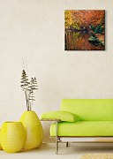 Jeseň v lese - Obraz CKS0384