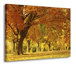 Jesenná krajina - Obraz CD0148