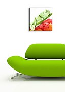 Chameleón na kvete - Obraz CKS0540