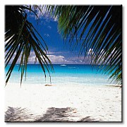 Piesočnatá pláž - Obraz CKS0071