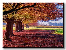 Farebná krajina - Obraz cS0401