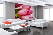 Kvetinové tapety Ružové tulipány 3143 - vinylová