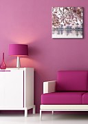 Kvety višne - Obraz CKS0321