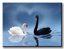 Love is in the air - Obraz  CS0301