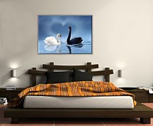 Love is in the air - Obraz  CS0301