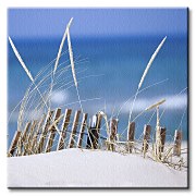 Lake sand Dunes - Obraz CKS0183