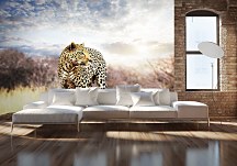 Leopard - fototapeta 366x254 cm FXL0244
