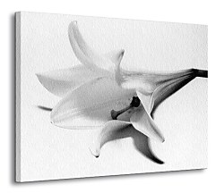 Ľalia - Obraz  CD0044