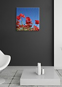 Obraz Red poppies CKS0154