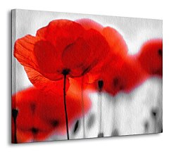 Červené maky - Obraz CD0086