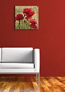 Divé maky na lúke - Obraz CKS0226