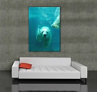 Obraz Ľadový medveď CS0498