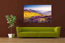 Obraz Horské rododendrony zs24797