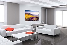 Obraz Horské rododendrony zs24797