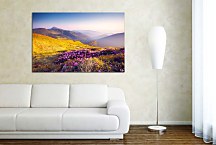 Obraz Horské rododendrony zs24797