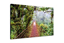Obraz Jungle bridge zs24828