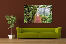 Obraz Jungle bridge zs24828