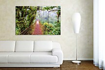 Obraz Jungle bridge zs24828