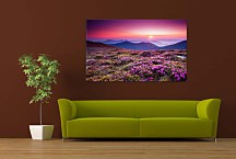 Obraz Mountain Rhododendrons zs24800