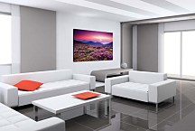 Obraz Mountain Rhododendrons zs24800