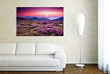 Obraz Mountain Rhododendrons zs24800