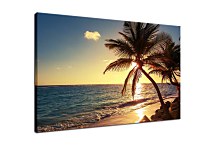 Obraz Palm tree on the tropical beach zs24841