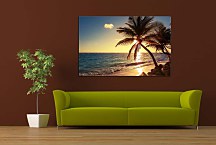 Obraz Palm tree on the tropical beach zs24841