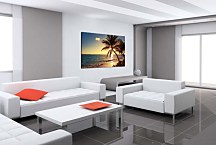 Obraz Palm tree on the tropical beach zs24841