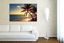 Obraz Palm tree on the tropical beach zs24841