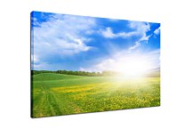 Obraz Slnečné svetlo zs24830