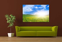 Obraz Slnečné svetlo zs24830