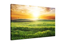 Obraz Slnko nad poliami zs24808