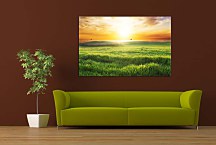 Obraz Slnko nad poliami zs24808