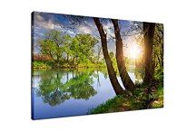 Obraz Stromy pri rieke zs24783