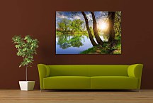 Obraz Stromy pri rieke zs24783