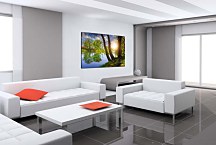 Obraz Stromy pri rieke zs24783