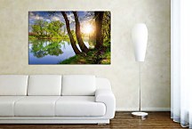 Obraz Stromy pri rieke zs24783